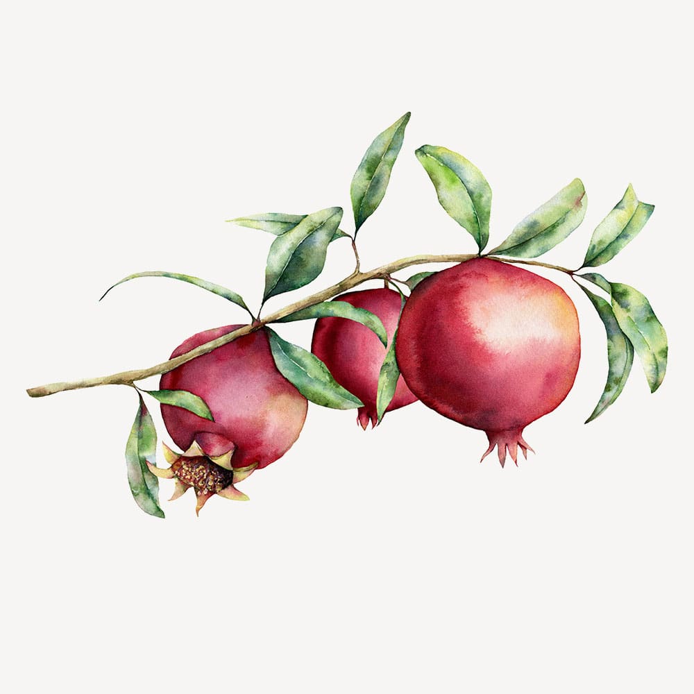 Pomegranate